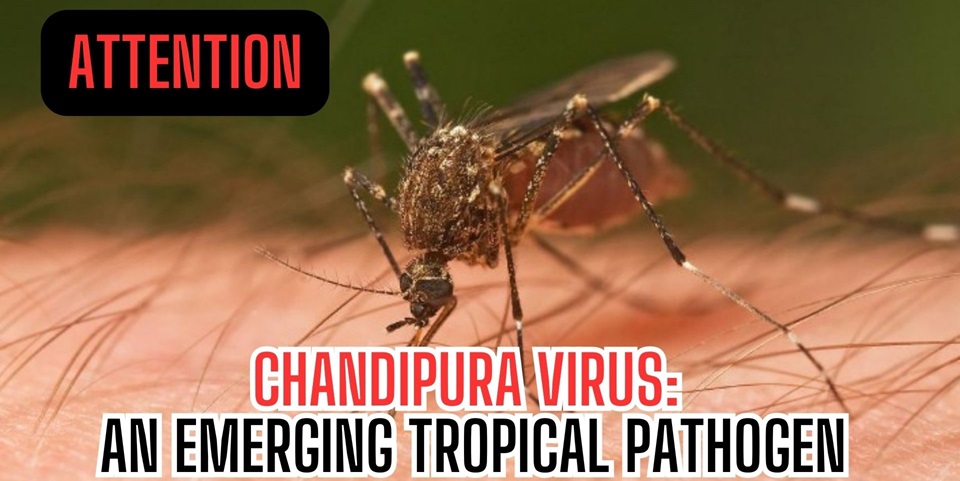 Chandipura virus